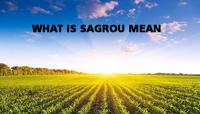 What is Sagrou